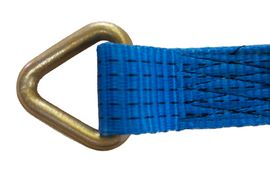 5000kg Strap with Delta Ring