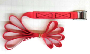 Cambuckle Tie-down strap 25mm x 2.5m
